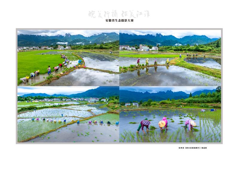 《碧水田园插秧忙》