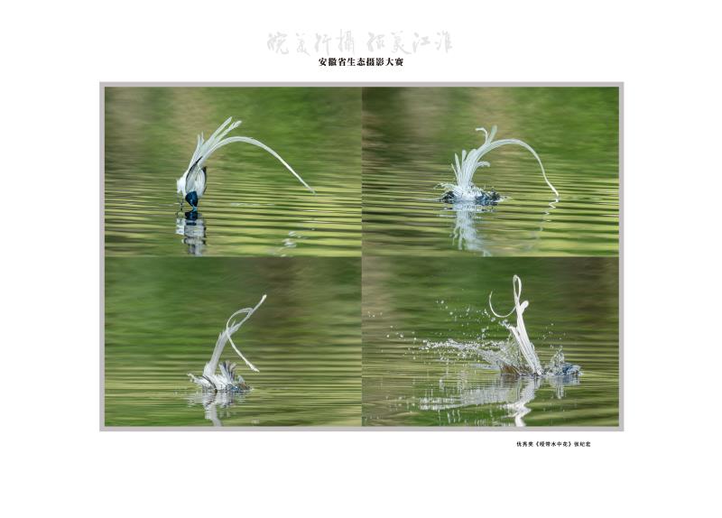 《绶带水中花》