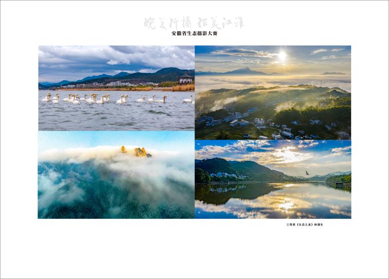 三等奖《生态之美》