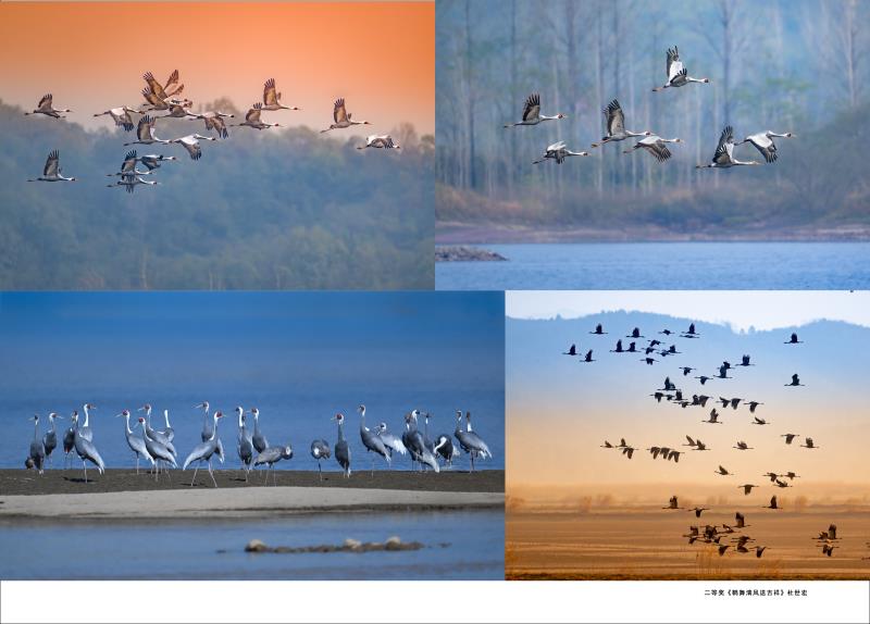 二等奖《鹤舞清风送吉祥》