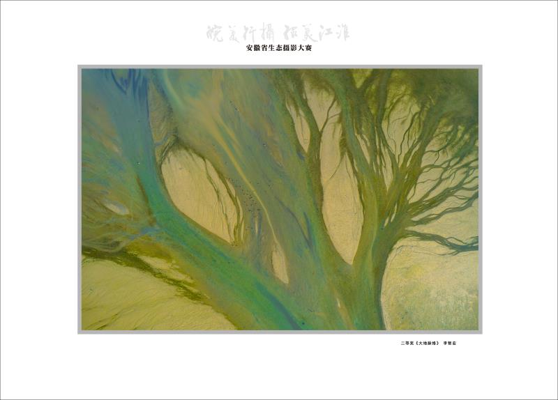 二等奖《大地脉络》